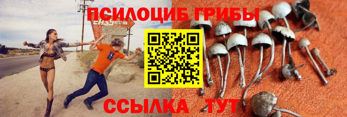 Алапаевск  Псилоцибиновые грибы Magic Shrooms  Псилоцибиновые грибы Psilocybe  Вход с VPN 